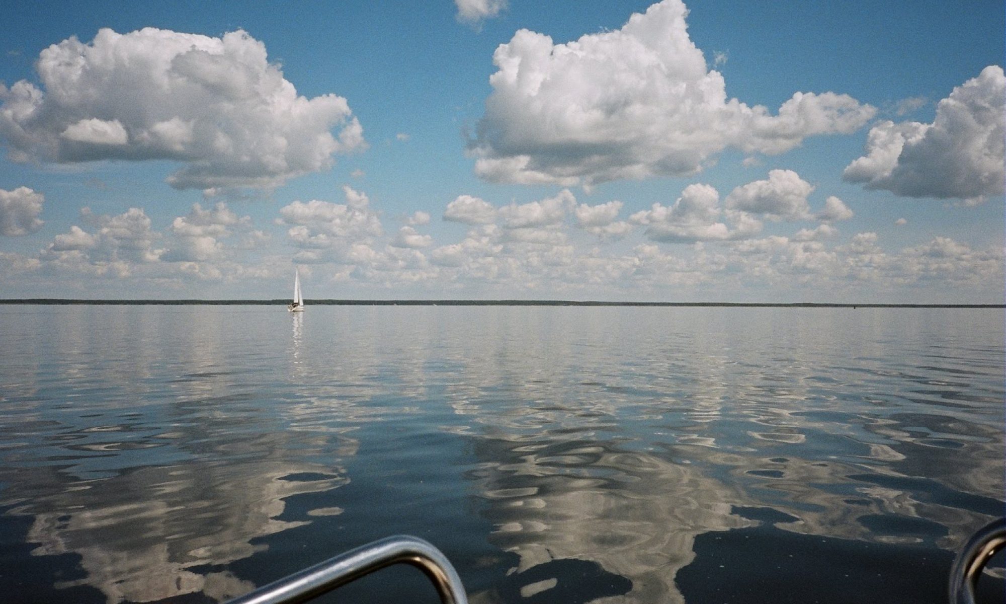 sailing albatros